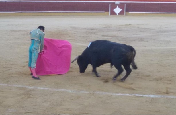 nota-toros-rivera-gerardo