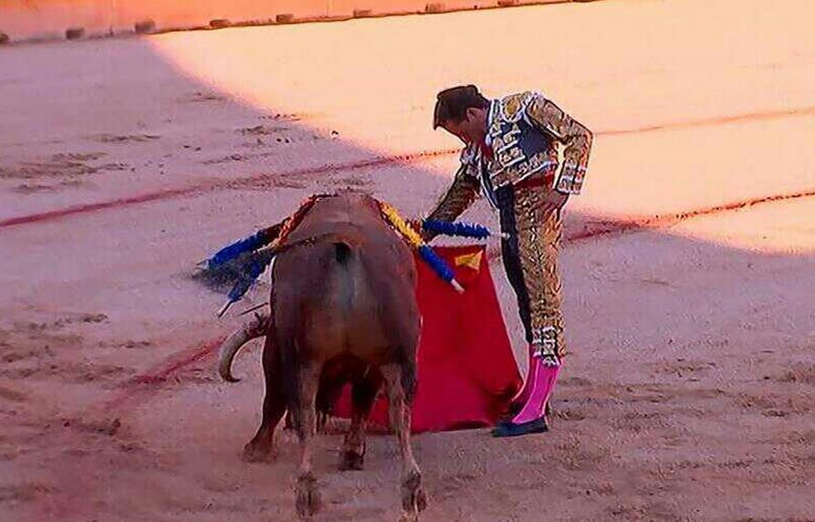 nota-toros-urdiales
