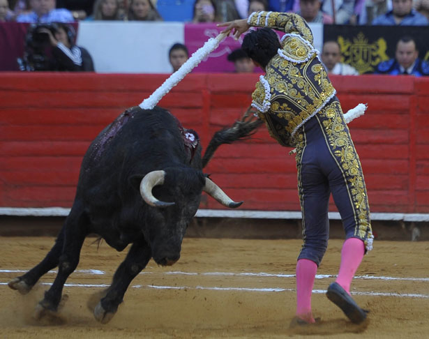 nota-toros-zapata1