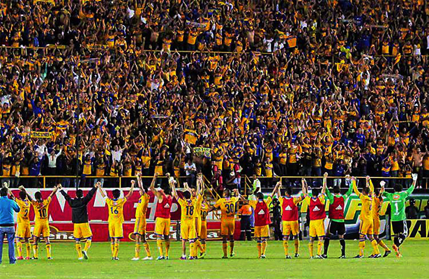 tigres bol
