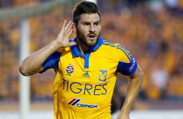 tigres lib