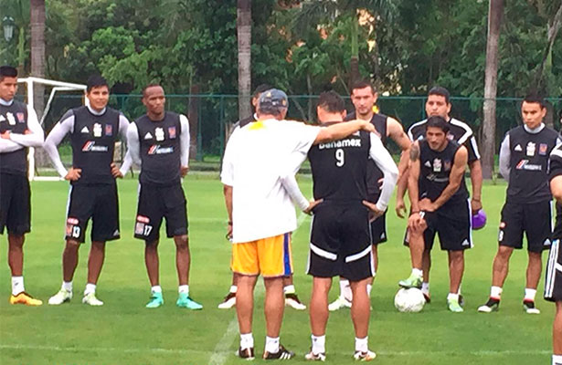 tigres-sobis-plantel