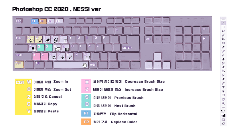 콜로소 NESSI 강의 소개