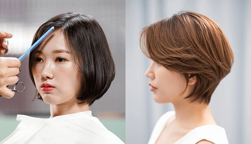 콜로소 초이진 콴 강의 소개