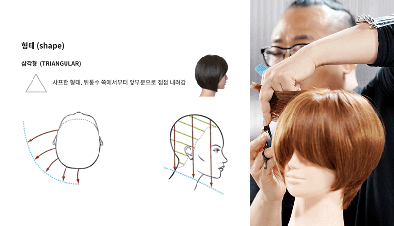 콜로소 초이진 콴 강의 소개