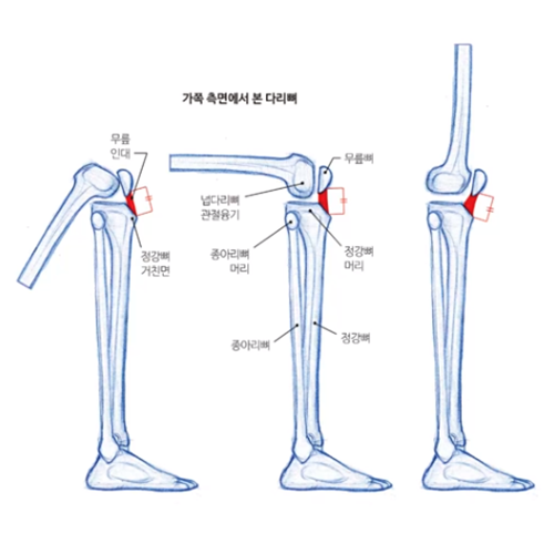 김락희 캐릭터 드로잉 특강 강의 예제