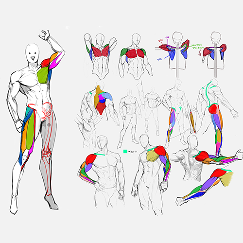 Coloso illustration Class Details