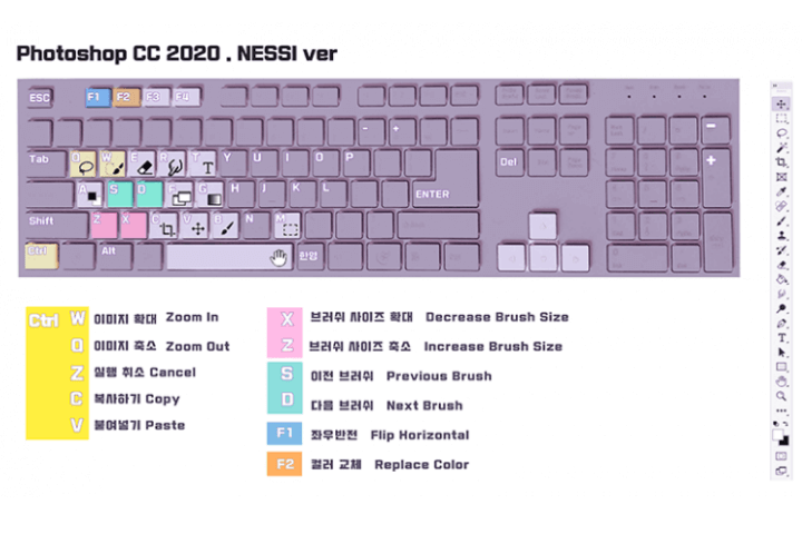 콜로소 NESSI 김락희 강의 소개