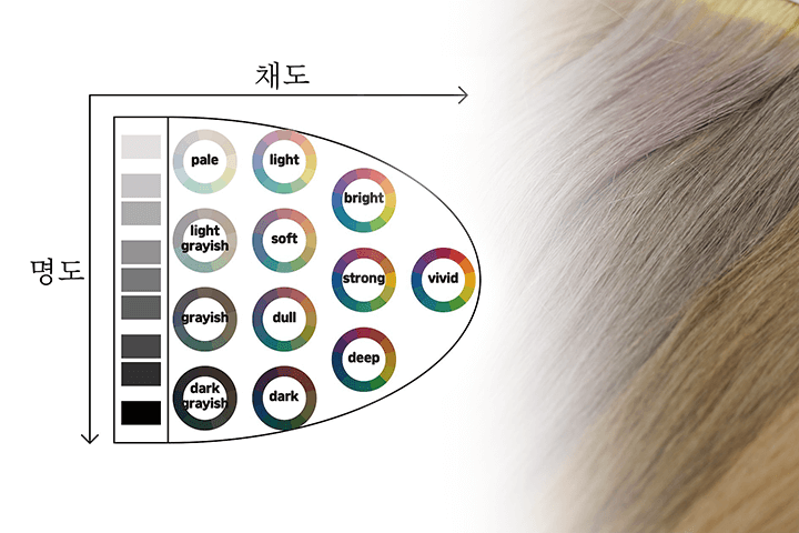 콜로소 염색반장 강의 소개