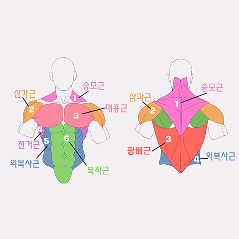 가탄 캐릭터 드로잉 특강 강의 예제