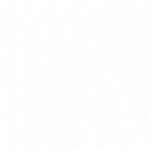 콜로소 실무 집중 완성반 강의 예제 콜로소 실무 집중 완성반 강의 예제