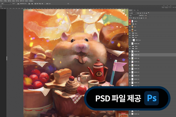 콜로소 로호 강의 소개