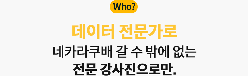 데이터 전문가로 네카라쿠배 갈 수 밖에 없는 전문 강사진으로만.