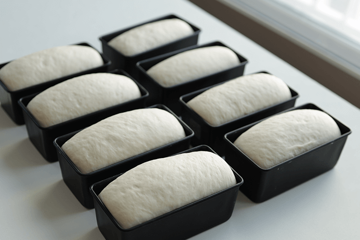 Coloso Mommy Oven Introduction
