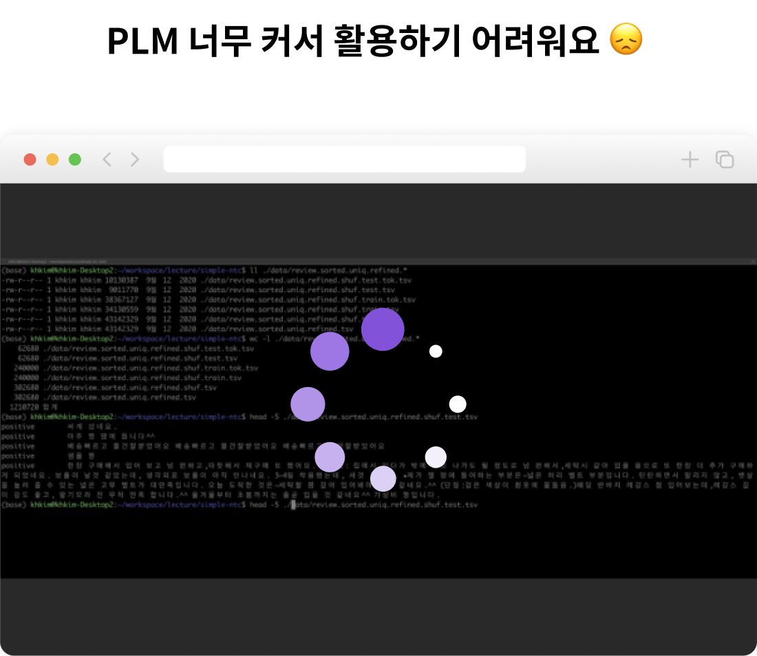 자연어처리 PLM