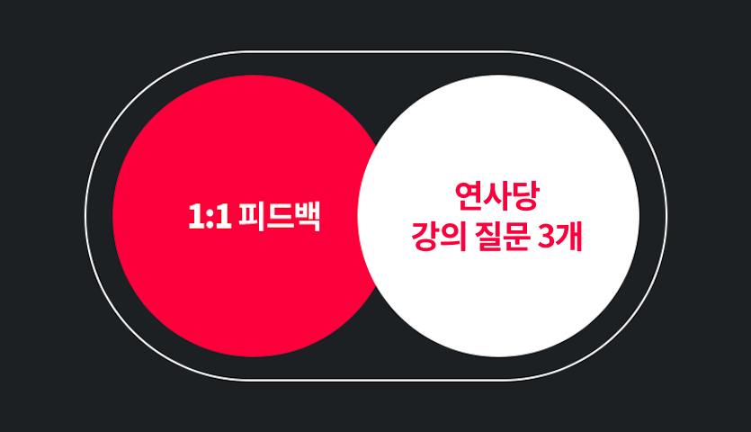 콜로소 피드백권