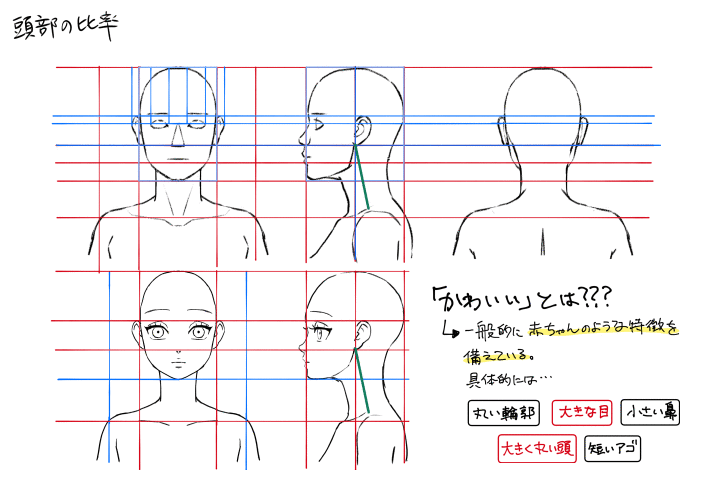 Coloso めめんち 講座のポイント