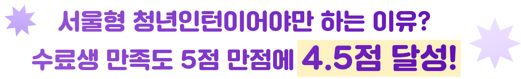 서울형 청년인턴