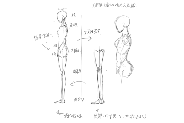 イラストレーター Marumoru Coloso コロソ