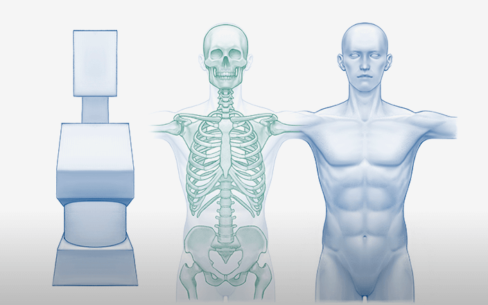 Basics of Human Anatomy and Body Mapping