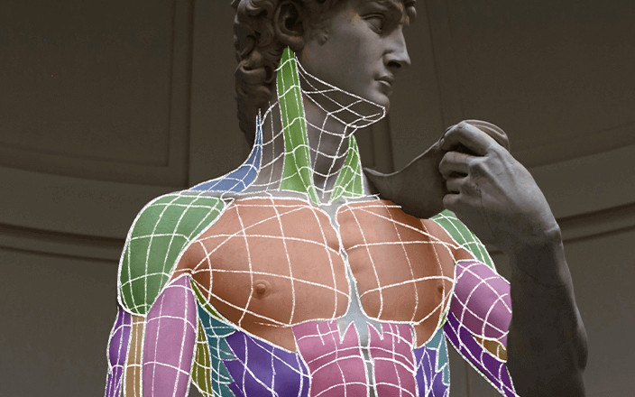Intro to Artistic Anatomy of the Human Body