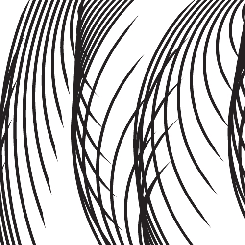 Coloso GraphicDesigner JunkiHong
