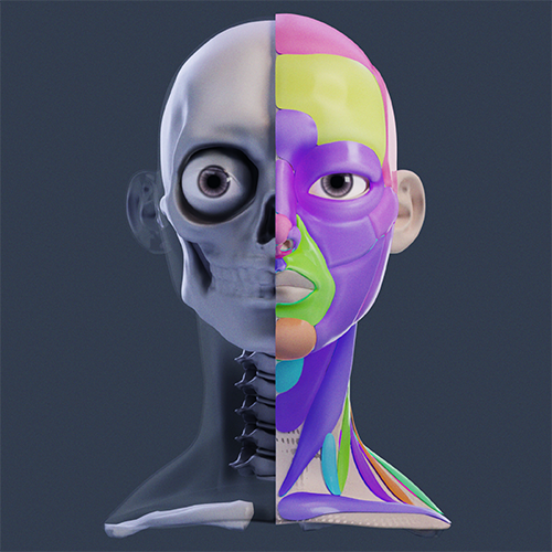 ZEEN Blender 讲座示例