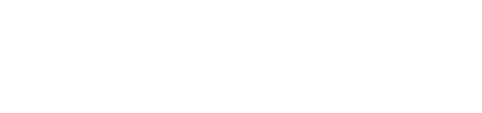 insight