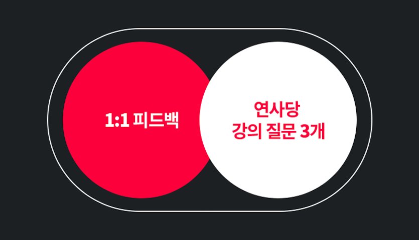콜로소 피드백권