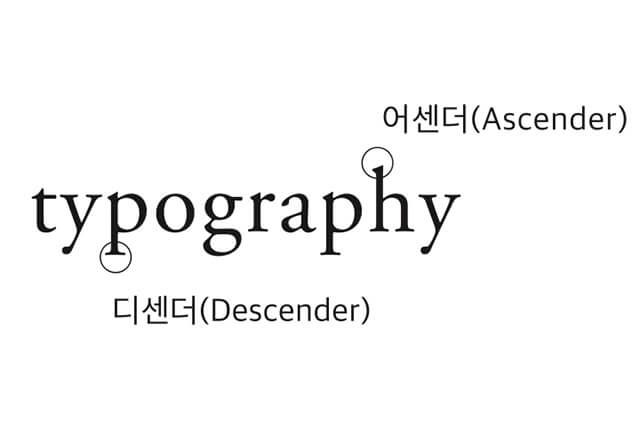 타이포