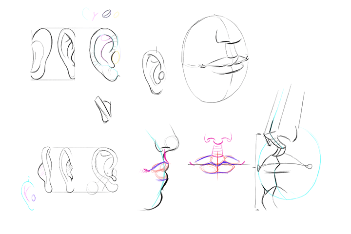 Coloso Gregor Kari Class Exercises