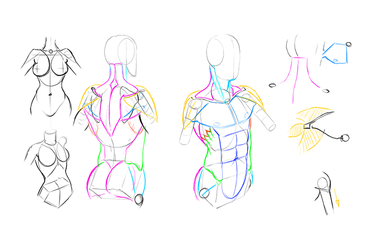 Coloso Gregor Kari Class Exercises