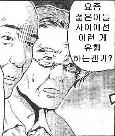 프론트엔드와 백엔드 차이