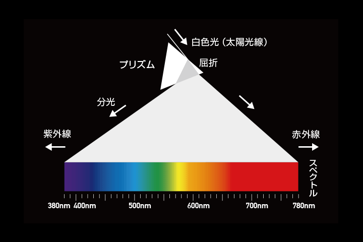 Coloso 南雲治嘉 講座のポイント