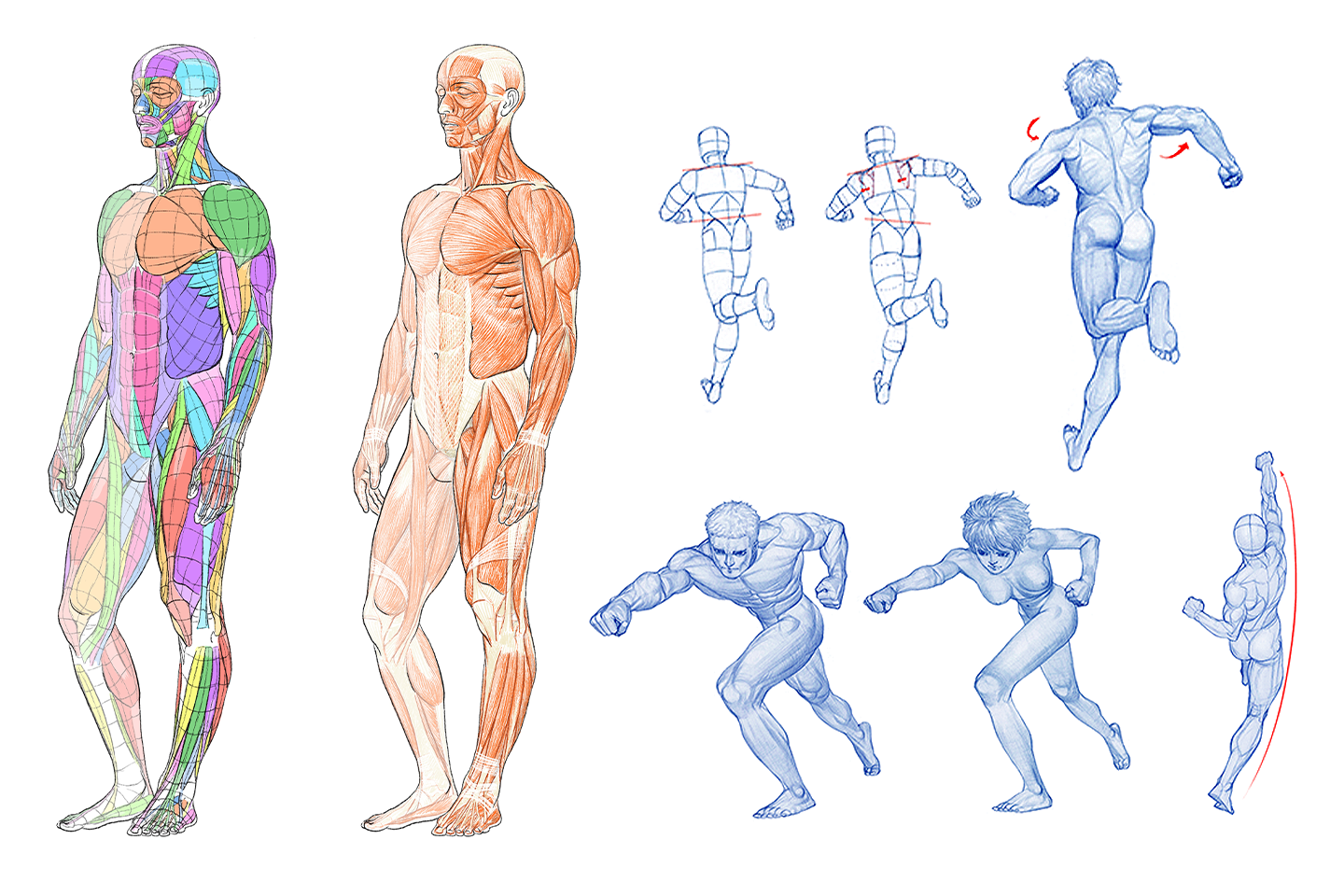 加藤公太＆キム・ラッキ | コロソ.