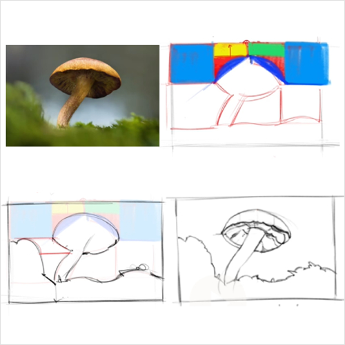 coloso 연사명 Exercises