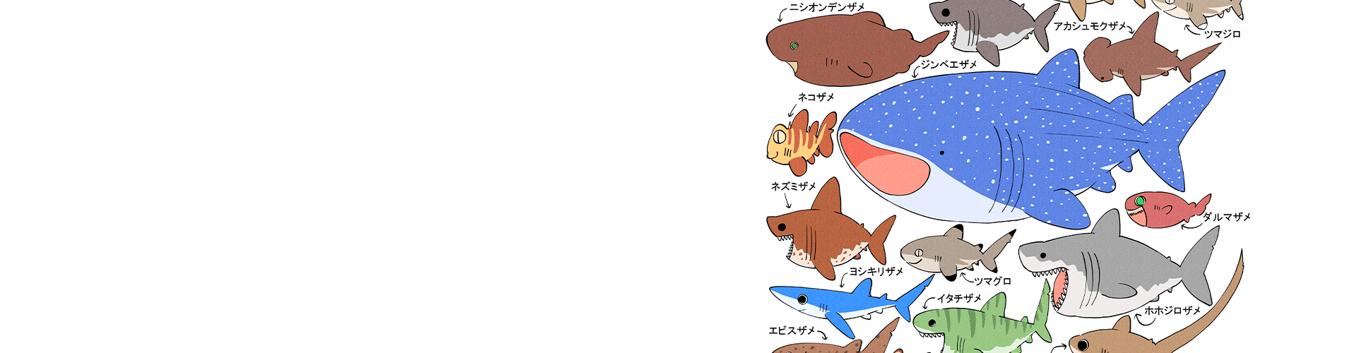 背景イメージ