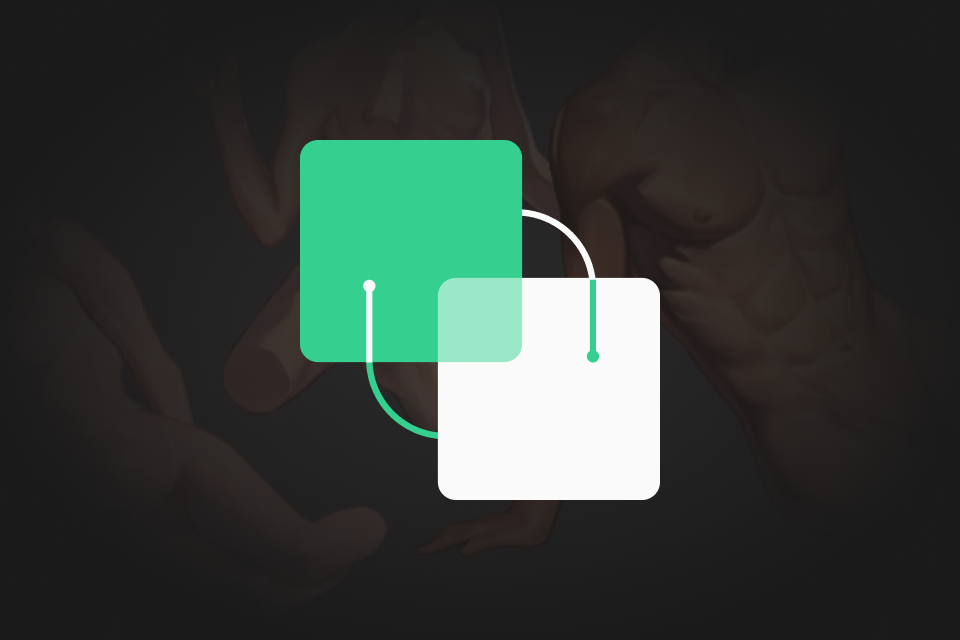 Coloso dictionary anatomy