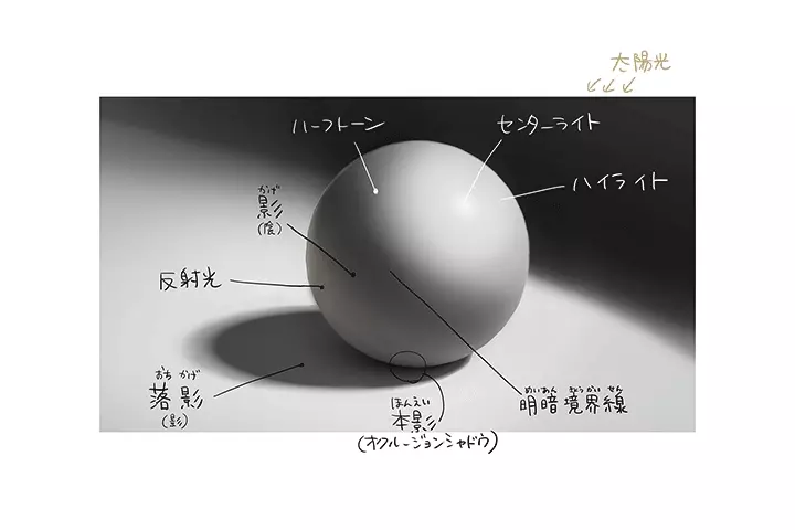 Coloso champi 講座のポイント