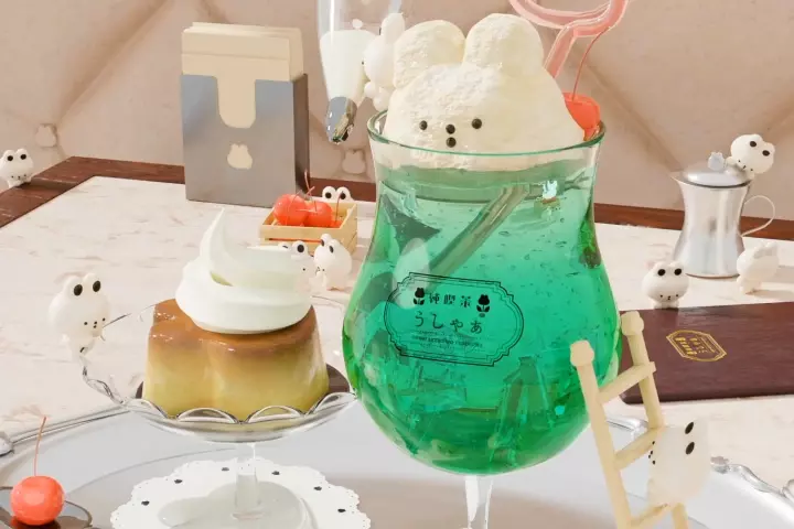 Coloso うさこちゃん 講座のポイント