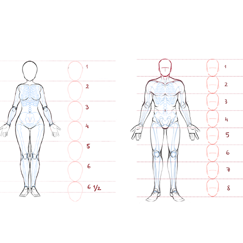 Illustrator Alice Vu Exercises