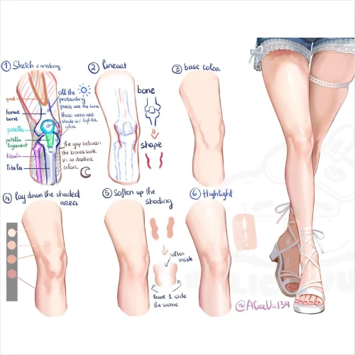 Illustrator Alice Vu Exercises