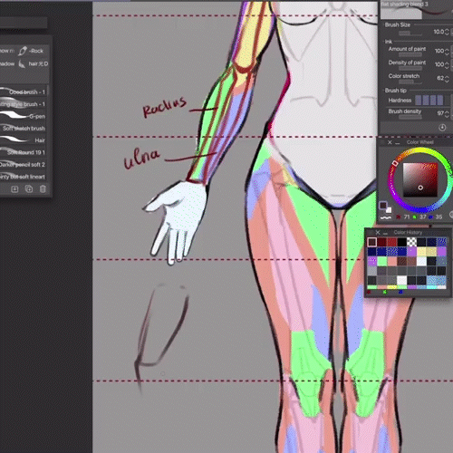 Illustrator Alice Vu Exercises