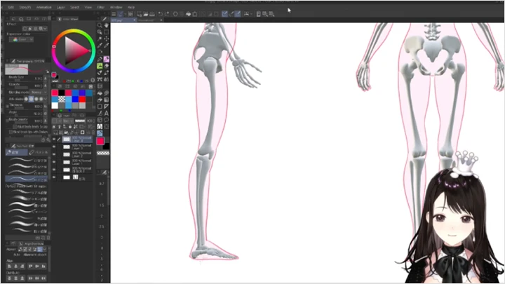 Coloso Illustrator Macciatto Curriculum