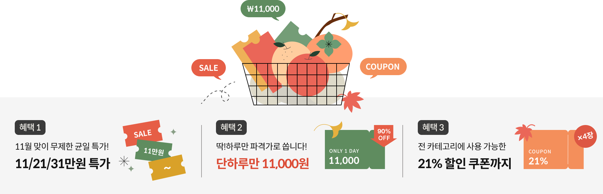 🔥11월엔 11만원(~11/14)🔥 | Coloso.