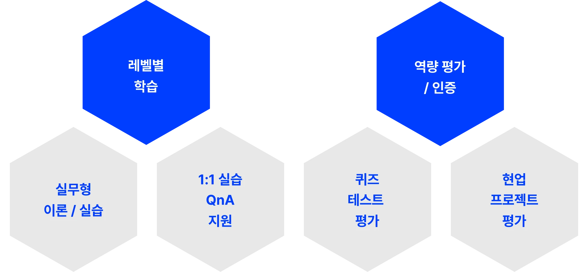 고객 경험 관리 DX