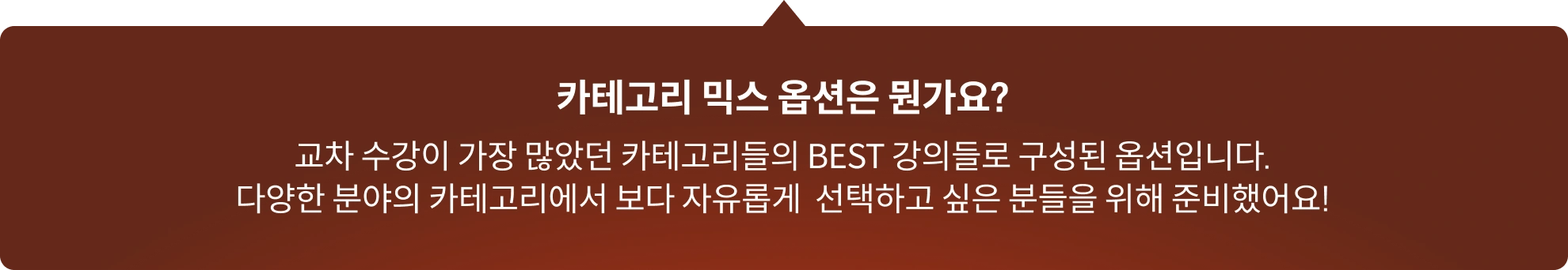 옵션 설명