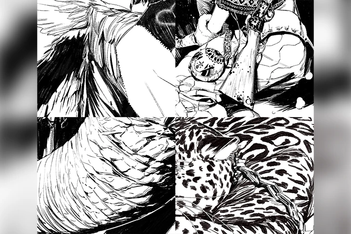Coloso Illustrator Sungmoo Heo Class Details