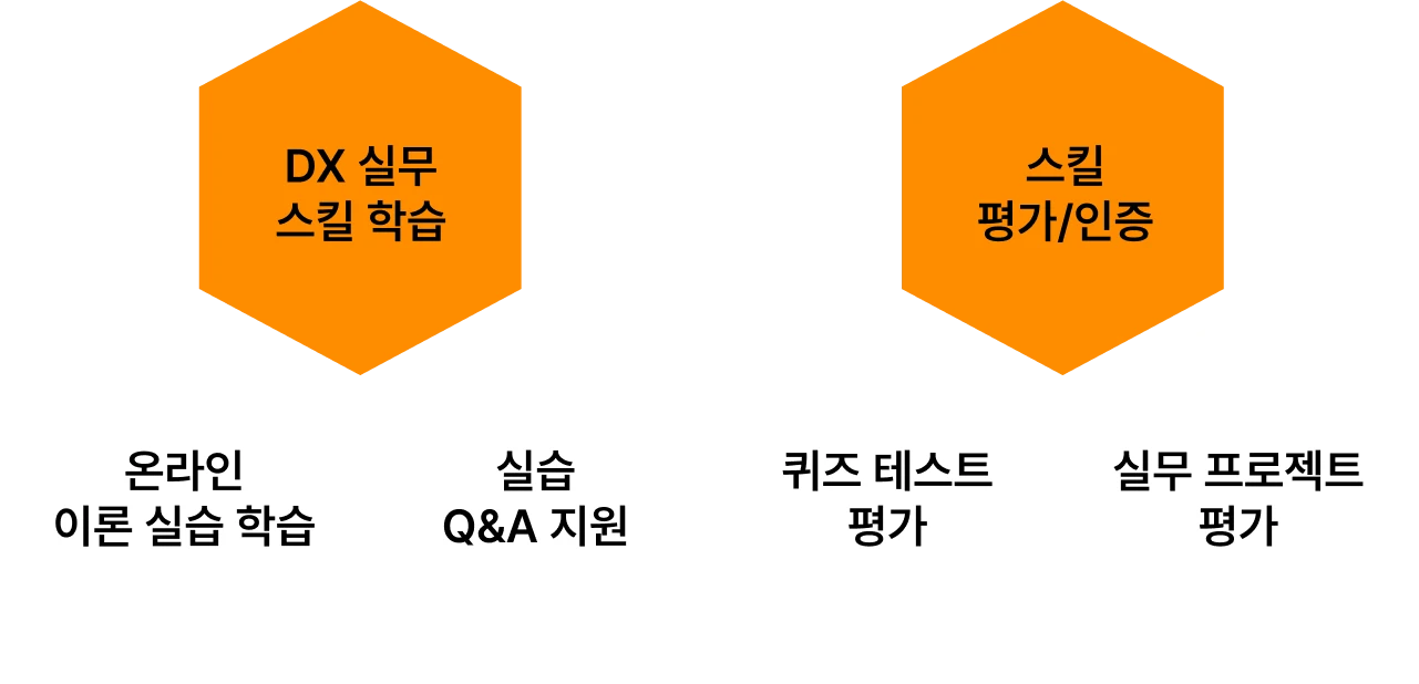 DX 인증형 기업교육 