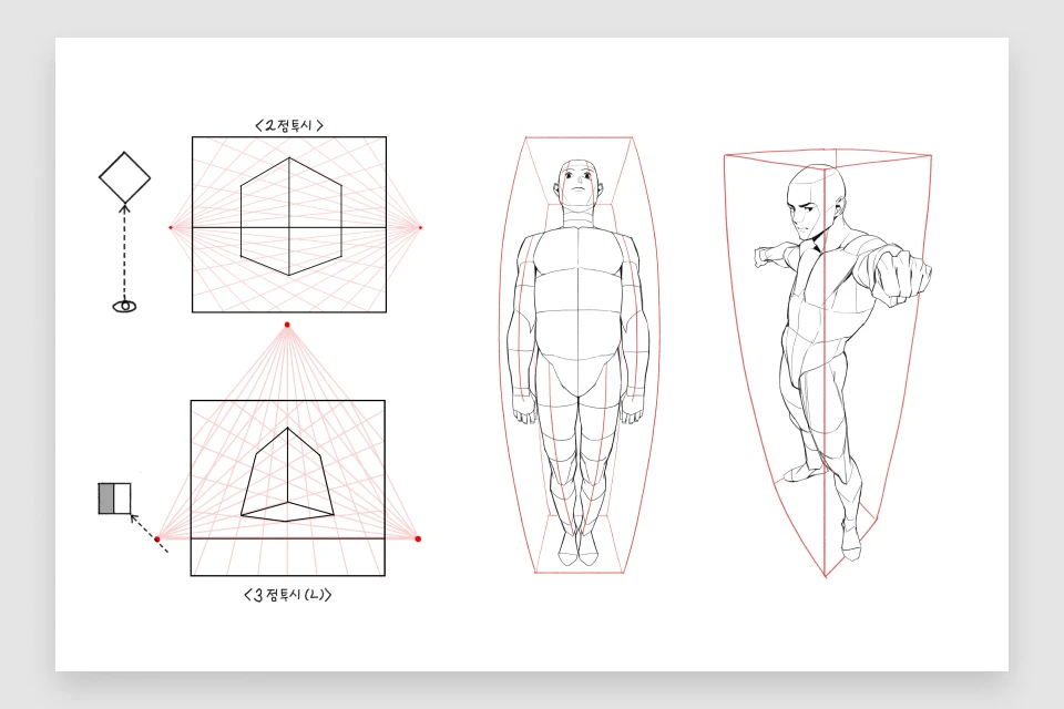 Coloso Illustrator Sungmoo Heo Class Perks